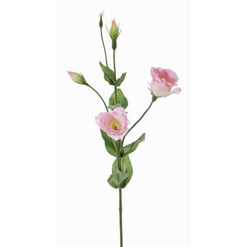 Lisianthus artificiale JUDIKA, rosa, 70cm, Ø5cm Lisianthus artificiale JUDIKA, rosa, 70cm, Ø5cm