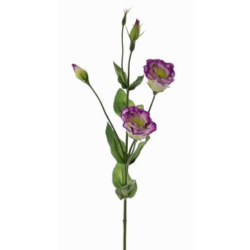 Lisianthus artificiale JUDIKA, viola-verde, 70cm, Ø5cm Lisianthus artificiale JUDIKA, viola-verde, 70cm, Ø5cm