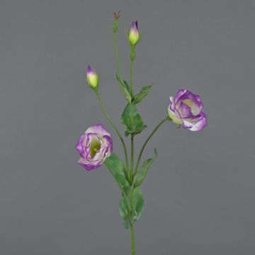 Lisianthus artificiale JUDIKA, viola-verde, 70cm, Ø5cm