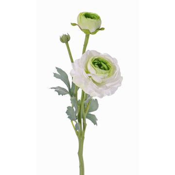 Ranuncolo artificiale YAKIRA, bianco-verde, 40cm, Ø4,5-9cm Ranuncolo artificiale YAKIRA, bianco-verde, 40cm, Ø4,5-9cm