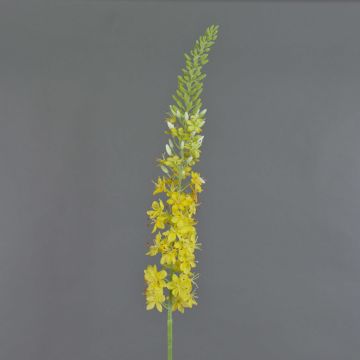 Eremurus artificiale SELINA, giallo, 105cm, Ø9cm