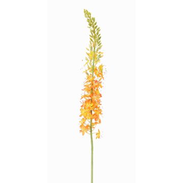 Eremurus artificiale SELINA, arancione, 105cm, Ø9cm Eremurus artificiale SELINA, arancione, 105cm, Ø9cm