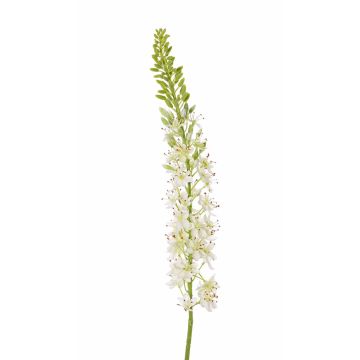 Eremurus artificiale SELINA, bianco, 105cm, Ø9cm
