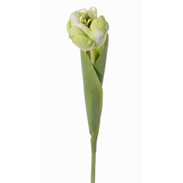 Tulipano artificiale ROMANA, verde-bianco, 45cm, Ø6cm