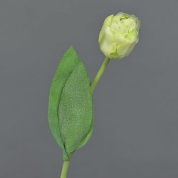 Tulipano artificiale ROMANA, verde-bianco, 45cm, Ø6cm