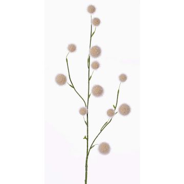 Allium artificiale EMRAH, crema, 80cm, Ø3-4,5cm