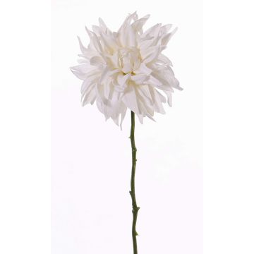 Dahlia artificiale SMILA, crema, 55cm, Ø12cm Dahlia artificiale SMILA, crema, 55cm, Ø12cm