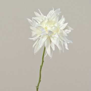 Dahlia artificiale SMILA, crema, 55cm, Ø12cm