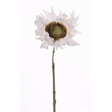 Girasole artificiale JANIKA, bianco, 60cm, Ø13cm Girasole artificiale JANIKA, bianco, 60cm, Ø13cm