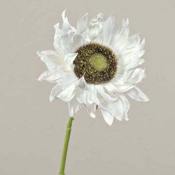Girasole artificiale JANIKA, crema, 60cm, Ø12cm