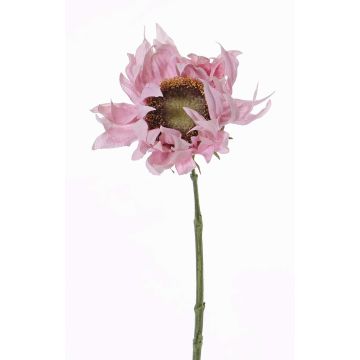 Girasole artificiale JANIKA, rosa pallido, 60cm, Ø13cm Girasole artificiale JANIKA, rosa pallido, 60cm, Ø13cm