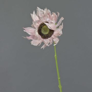Girasole artificiale JANIKA, rosa, 60cm, Ø12cm