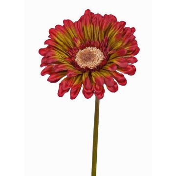 Gerbera artificiale ANNEMARIE, rosso-verde, 50cm, Ø10cm