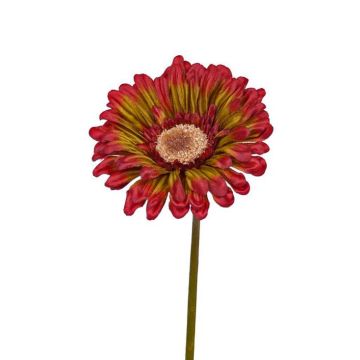 Gerbera artificiale ANNEMARIE, rosso-verde, 50cm, Ø10cm