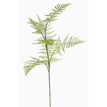 Ramo artificiale di asparagina HAYDON, verde, 85cm
