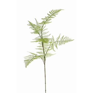 Ramo artificiale di asparagina HAYDON, verde, 85cm