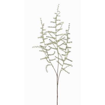 Ramo artificiale di asparago selvatico JOCHEN, verde, 70cm