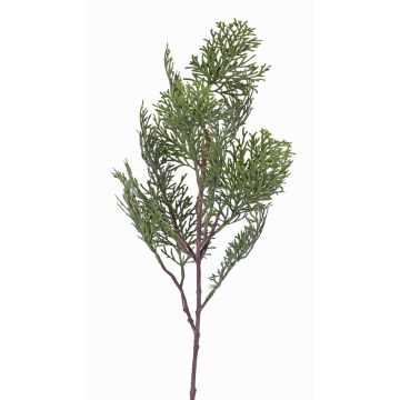Ramo di cipresso finto FROWIN, verde, 60cm Ramo di cipresso finto FROWIN, verde, 60cm