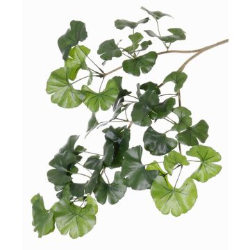 Ramo di ginkgo artificiale HILGER, difficilmente infiammabile, 70cm Ramo di ginkgo artificiale HILGER, difficilmente infiammabile, 70cm