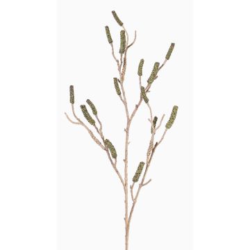 Ramo di callistemon artificiale SIRIUS con frutti, verde, 120cm Ramo di callistemon artificiale SIRIUS con frutti, verde, 120cm