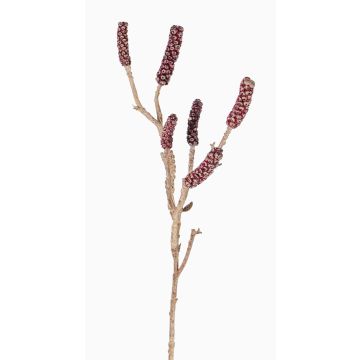 Ramo di callistemon artificiale SIRIUS con frutti, rosso scuro, 60cm Ramo di callistemon artificiale SIRIUS con frutti, rosso scuro, 60cm