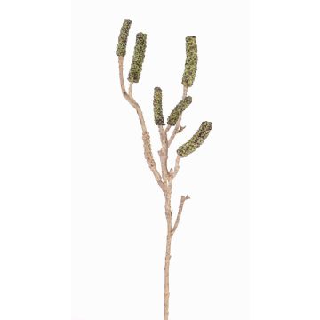 Ramo di callistemon artificiale SIRIUS con frutti, verde, 60cm Ramo di callistemon artificiale SIRIUS con frutti, verde, 60cm