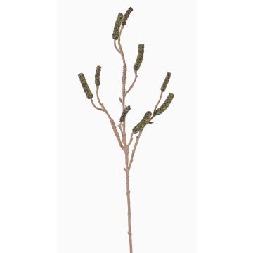 Ramo di callistemon artificiale SIRIUS con frutti, verde, 90cm Ramo di callistemon artificiale SIRIUS con frutti, verde, 90cm