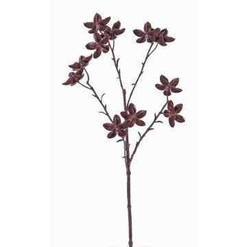 Ramo di anice stellato artificiale DELANO con frutti, marrone, 60cm