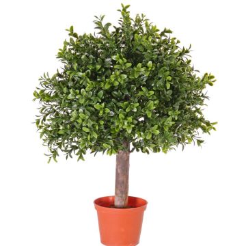 Bosso artificiale TOM, tronco naturale, zona trasversale, 45cm, Ø30cm