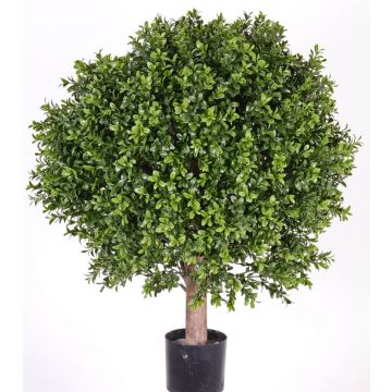 Bosso artificiale TOM, tronco naturale, zona trasversale, 65cm, Ø50cm