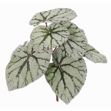 Begonia rex artificiale KATRICE su stelo, verde-grigio, 25cm