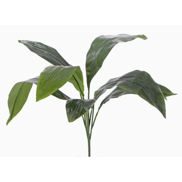 Palma finta di aspidistra VASCO su stelo, 55cm Palma finta di aspidistra VASCO su stelo, 55cm