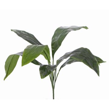 Palma finta di aspidistra VASCO su stelo, 55cm