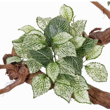 Pianta mosaico artificiale MOLARA su stelo, verde-bianco, 25cm Pianta mosaico artificiale MOLARA su stelo, verde-bianco, 25cm