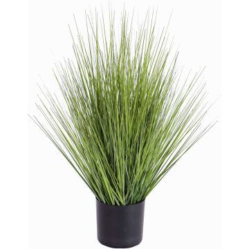 Panico verga artificiale ZAYN, verde, 60cm