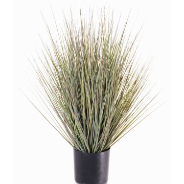 Panico verga artificiale ZAYN, verde-grigio, 60cm