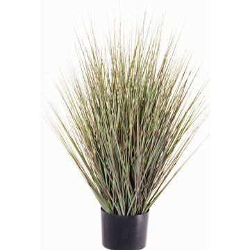 Panico verga artificiale ZAYN, verde-grigio, 75cm