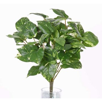 Pothos finto NAEL, stelo, difficilmente infiammabile, verde-bianco, 50cm