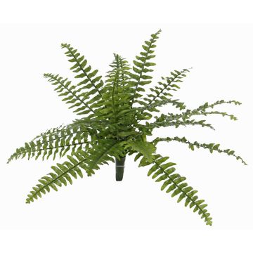 Felce di boston artificiale SASCHA su stelo, zona trasversale, verde, 25cm, Ø50cm Felce di boston artificiale SASCHA su stelo, zona trasversale, verde, 25cm, Ø50cm