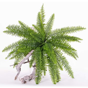 Felce di boston artificiale SASCHA su stelo, zona trasversale, verde, 45cm, Ø90cm Felce di boston artificiale SASCHA su stelo, zona trasversale, verde, 45cm, Ø90cm