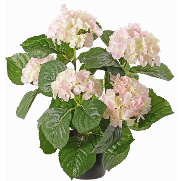 Ortensia artificiale TEMARI, bianco-rosa, 40cm, Ø10-12cm Ortensia artificiale TEMARI, bianco-rosa, 40cm, Ø10-12cm