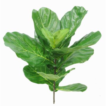 Ficus lyrata artificiale EZRA su stelo, zona trasversale, verde, 75cm Ficus lyrata artificiale EZRA su stelo, zona trasversale, verde, 75cm