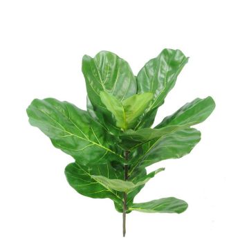 Ficus lyrata artificiale EZRA su stelo, zona trasversale, verde, 75cm