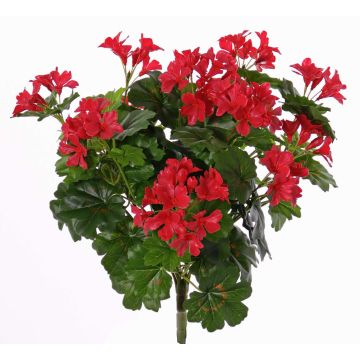 Geranio artificiale BERENIKE su stelo, zona trasversale, rosso, 40cm, Ø5-8cm Geranio artificiale BERENIKE su stelo, zona trasversale, rosso, 40cm, Ø5-8cm