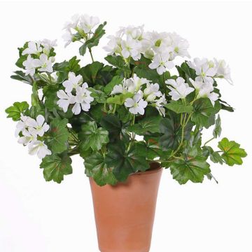 Geranio artificiale BERENIKE su stelo, zona trasversale, bianco, 40cm, Ø5-8cm Geranio artificiale BERENIKE su stelo, zona trasversale, bianco, 40cm, Ø5-8cm