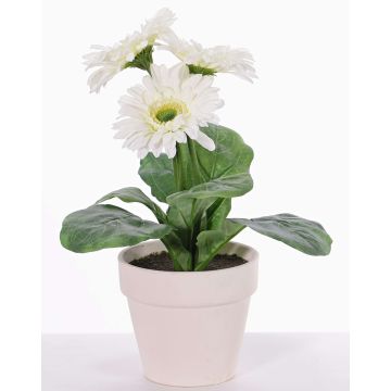 Gerbera artificiale SIMONE in vaso decorativo, bianco, 30cm, Ø9,5cm