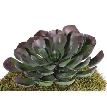 Aeonium artificiale BARBARA su stelo, rosso-verde, 15cm, Ø25cm