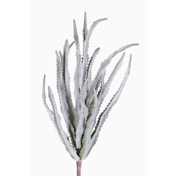 Euphorbia trigona artificiale REESE su stelo, grigio-verde, 30cm, Ø20cm