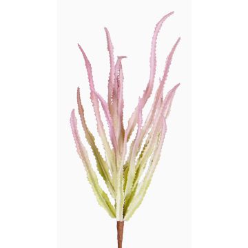 Euphorbia trigona artificiale REESE su stelo, rosa-verde, 30cm, Ø20cm