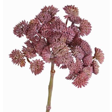 Sedum artificiale DANICA, rosso scuro, 20cm, Ø10cm Sedum artificiale DANICA, rosso scuro, 20cm, Ø10cm